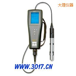 大理溶解氧測量儀