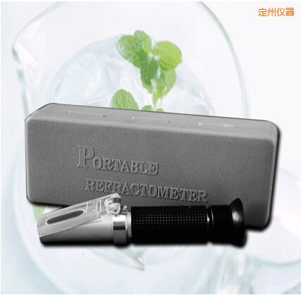 定州手持式食鹽/鹽度快速測(cè)定儀