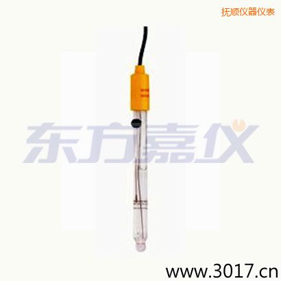 撫順可填充玻璃管電極