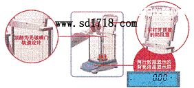 �F����M����ƽ,4100g,0.1g