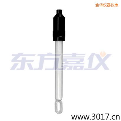 金華玻璃外殼無溫補兩線電導率電極