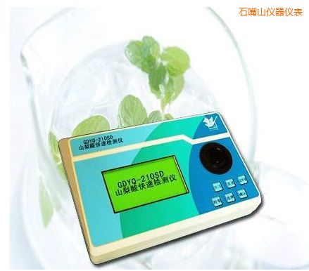 ʯ��ɽɽ������ٙz�y(c��)�x