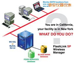 泰安軟件(桌面和網絡托管))