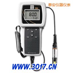 泰安便攜式溶解氧測量儀