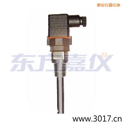 泰安含有溫度的兩線電導(dǎo)率電極