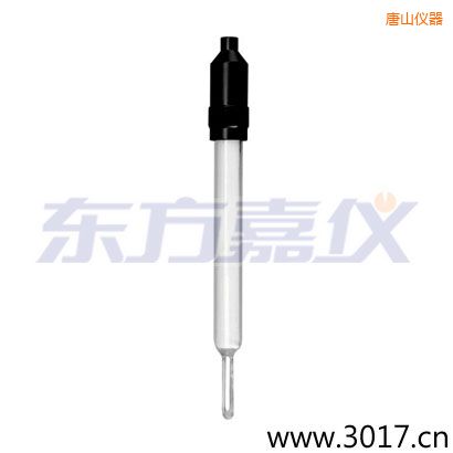 唐山玻璃外殼無(wú)溫補(bǔ)兩線電導(dǎo)率電極