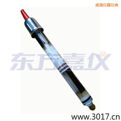 威海玻璃外殼,無(wú)溫補(bǔ)雙鹽橋電極