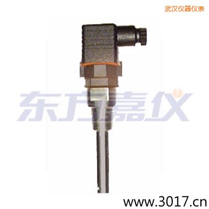 武漢含有溫度的兩線電導率電極