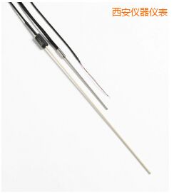 西安R 型和 S 型標準熱電偶