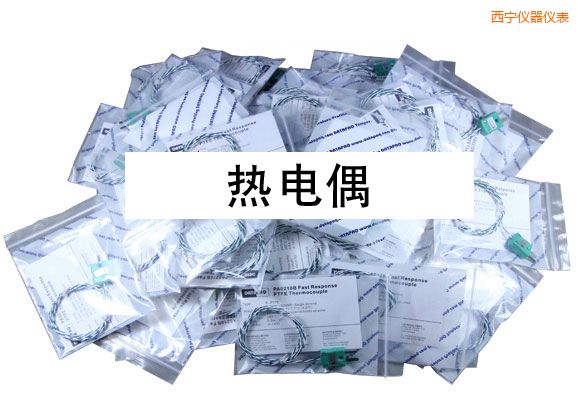 西寧熱電偶