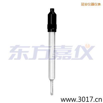延安玻璃外殼無溫補兩線電導率電極